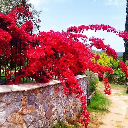 Lemon Forest Cotage Σπίτι διακοπών *